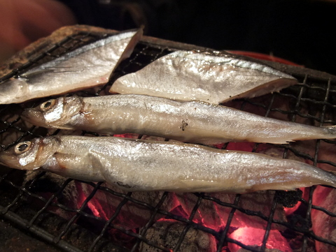 DSCF6346.JPG