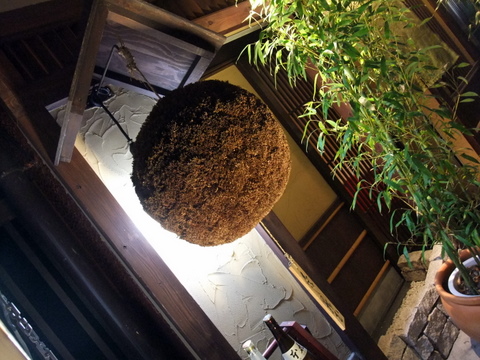 DSCF8099.JPG