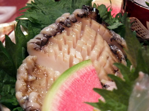 DSCF8127.JPG