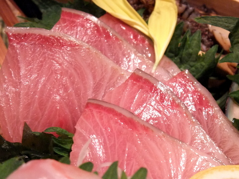 DSCF8128.JPG
