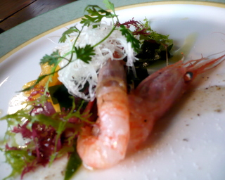 P1020743.JPG