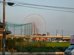 P1060179.JPG