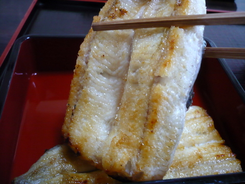 P1100189.JPG