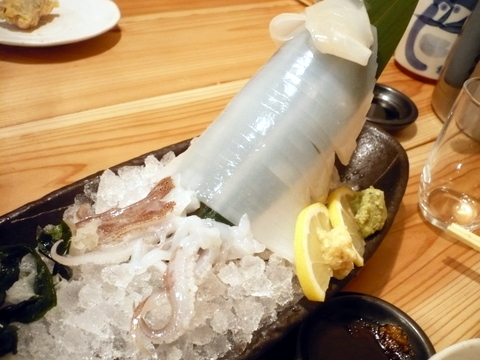 P1130731.JPG